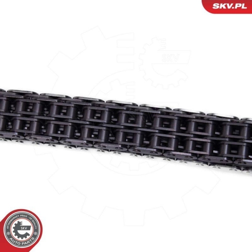 ESEN SKV Steuerkettensatz 21SKV260