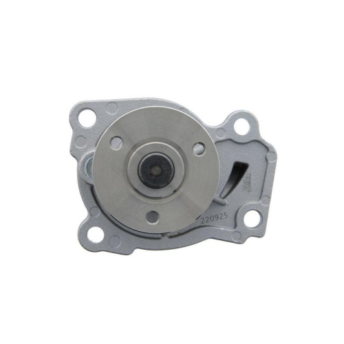 VALEO Wasserpumpe, Motork&uuml;hlung 529695