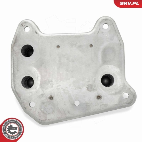 ESEN SKV &Ouml;lk&uuml;hler, Motor&ouml;l 31SKV282