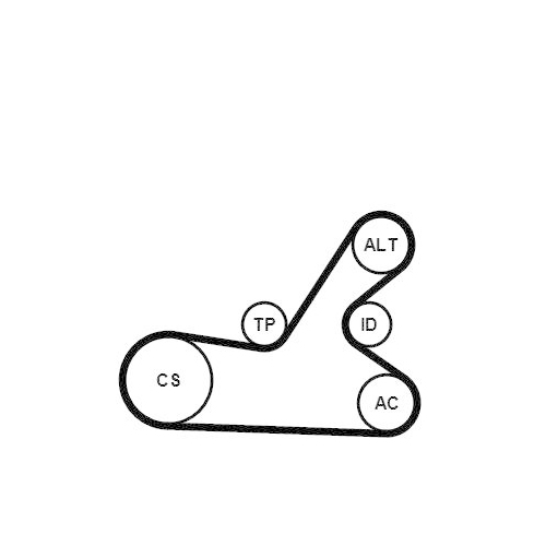 CONTINENTAL CTAM Keilrippenriemensatz 6PK1145K4