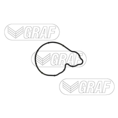 GRAF Wasserpumpe, Motork&uuml;hlung PA1380