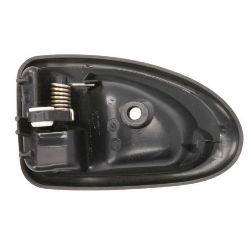 BLIC T&uuml;rgriff, Innenausstattung 6010-09-032408P