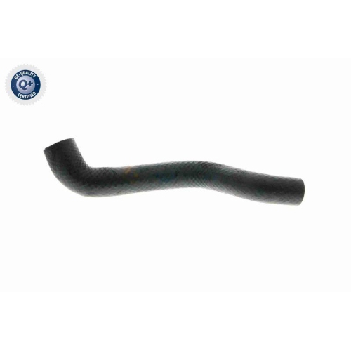 VAICO K&uuml;hlerschlauch Q+, Erstausr&uuml;sterqualit&auml;t V20-1238