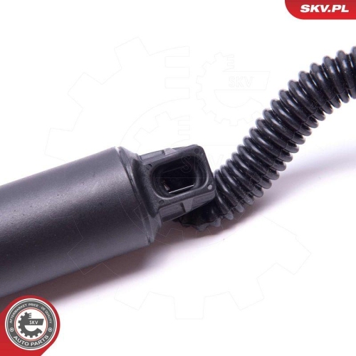 ESEN SKV Elektromotor, Heckklappe 52SKV904