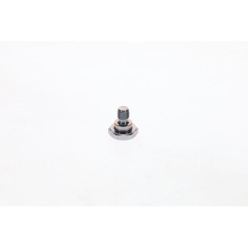 BOSCH Schraube 1 423 462 020