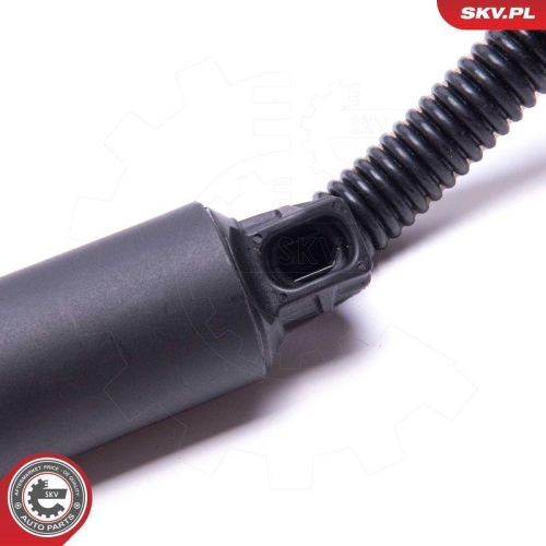 ESEN SKV Elektromotor, Heckklappe 52SKV913
