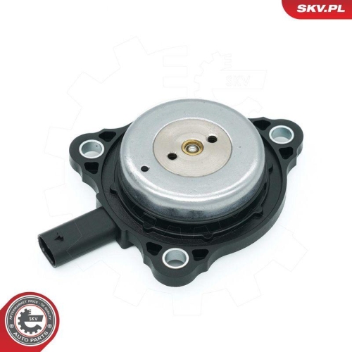ESEN SKV Zentralmagnet, Nockenwellenverstellung 39SKV905