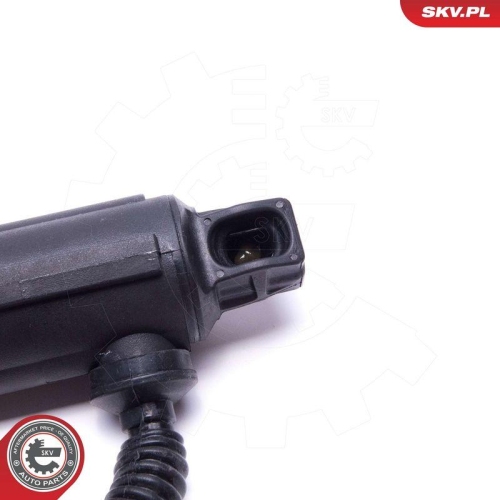 ESEN SKV Elektromotor, Heckklappe 52SKV927