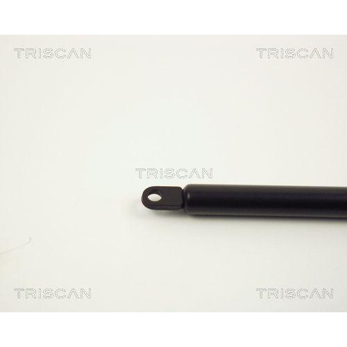 TRISCAN Gasfeder, Motorhaube 8710 1012