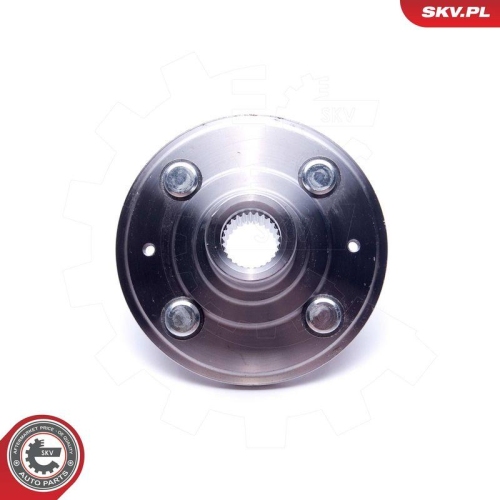 ESEN SKV Radlagersatz 29SKV471