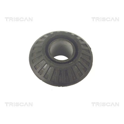 TRISCAN Lagerung, Lenker 8500 27800