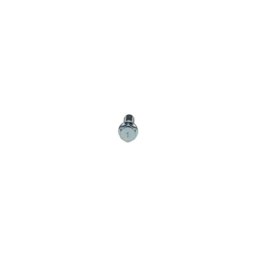 BOSCH Schraube F 019 D01 031