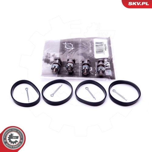 ESEN SKV Reparatursatz, Saugrohrmodul 49SKV518