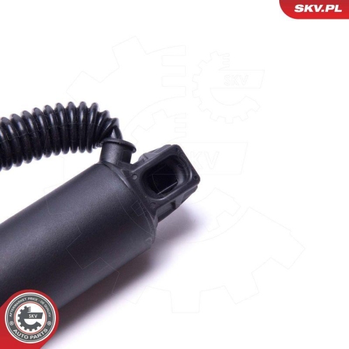 ESEN SKV Elektromotor, Heckklappe 52SKV932