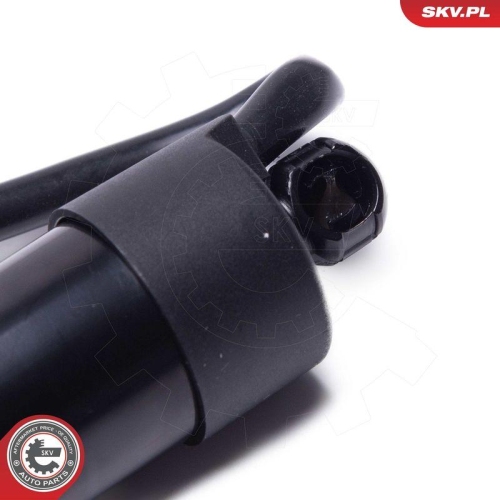 ESEN SKV Elektromotor, Heckklappe 52SKV961