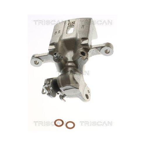 TRISCAN Bremssattel 8175 14210