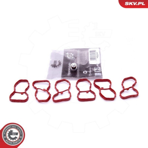 ESEN SKV Reparatursatz, Saugrohrmodul 49SKV522