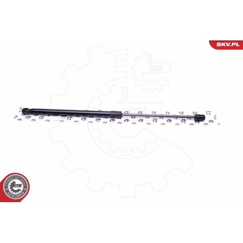 ESEN SKV Gasfeder, Koffer-/Laderaum