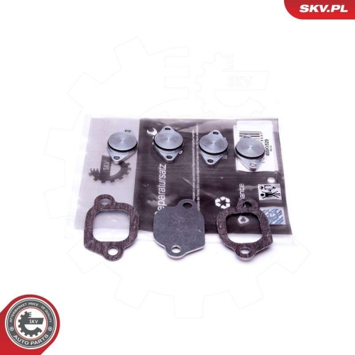 ESEN SKV Reparatursatz, Saugrohrmodul 49SKV529