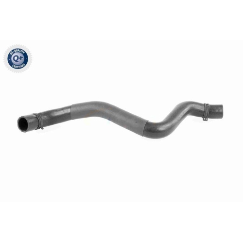 VAICO K&uuml;hlerschlauch Q+, Erstausr&uuml;sterqualit&auml;t V95-0397