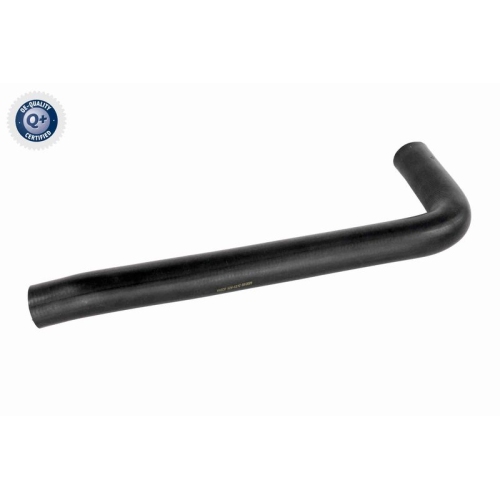 VAICO K&uuml;hlerschlauch Q+, Erstausr&uuml;sterqualit&auml;t V24-1172