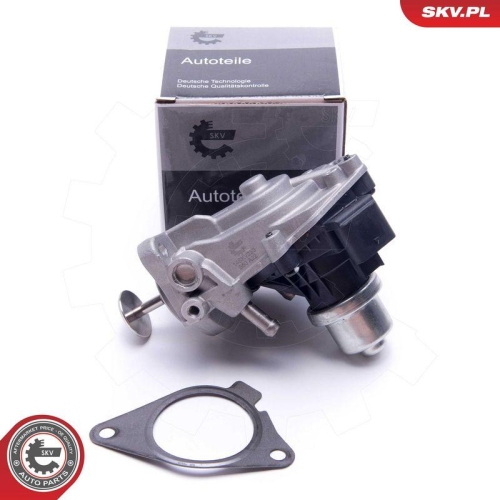 ESEN SKV AGR-Ventil 14SKV233