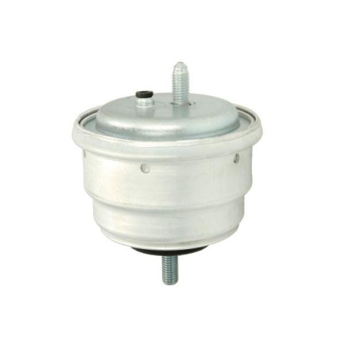 REINHOCH Lagerung, Motor RH11-3022