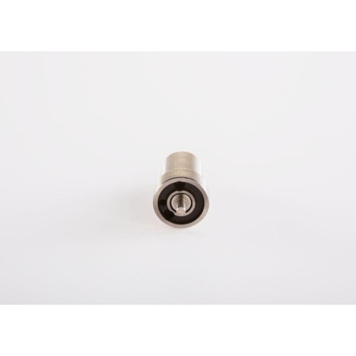 BOSCH Einspritzd&uuml;se 0 433 250 055