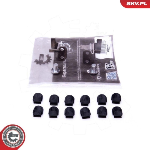 ESEN SKV Reparatursatz, Saugrohrmodul 49SKV543