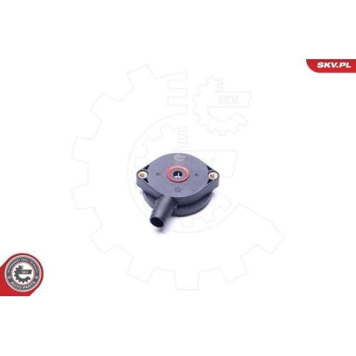 ESEN SKV Ventil, Kurbelgehäuseentlüftung