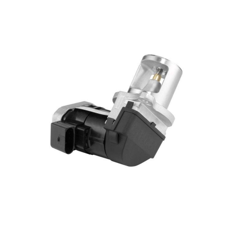 BorgWarner AGR-Ventil 7527D