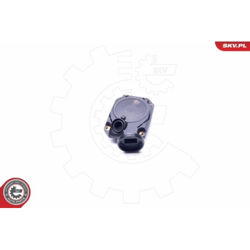 ESEN SKV Ventil, Kurbelgehäuseentlüftung