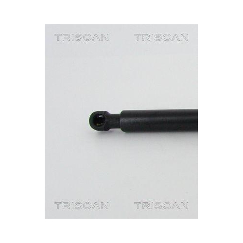 TRISCAN Gasfeder, Koffer-/Laderaum 8710 42244