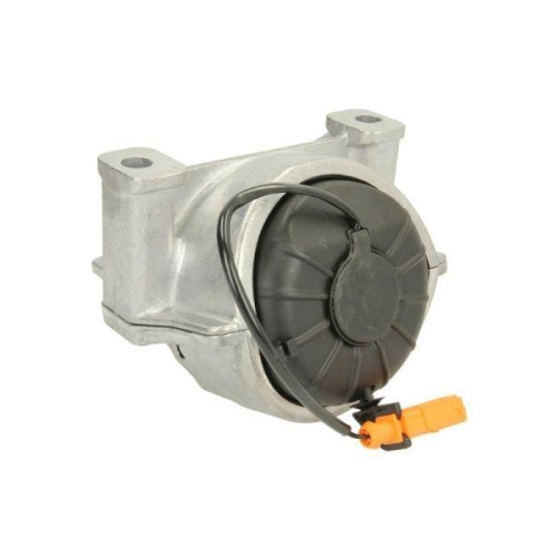 REINHOCH Lagerung, Motor RH11-0079