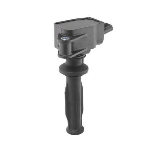 BorgWarner (BERU) Z&uuml;ndspule ZS621