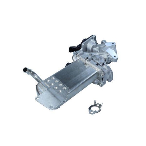 MAXGEAR Kühler, Abgasrückführung