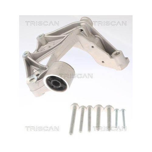 TRISCAN Lagerbock, Achskörper 8500 295262