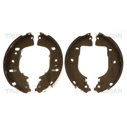 TRISCAN Bremsbackensatz 8100 29007