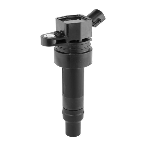 BorgWarner (BERU) Z&uuml;ndspule ZS625