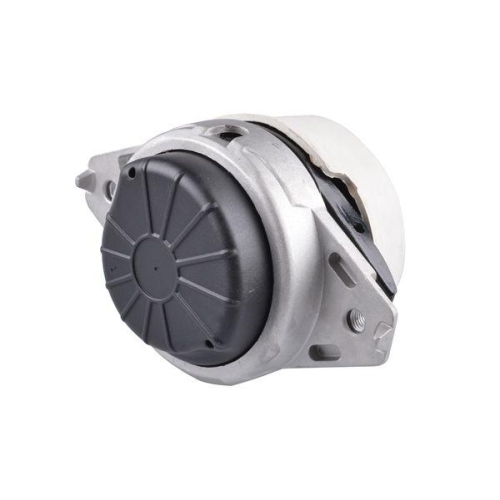 TEDGUM Lagerung, Motor TED48294
