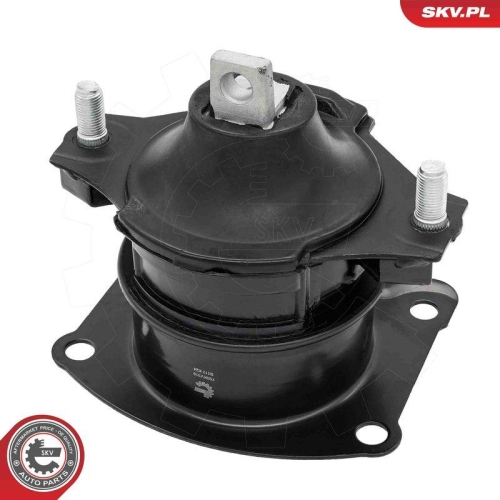 ESEN SKV Lagerung, Motor