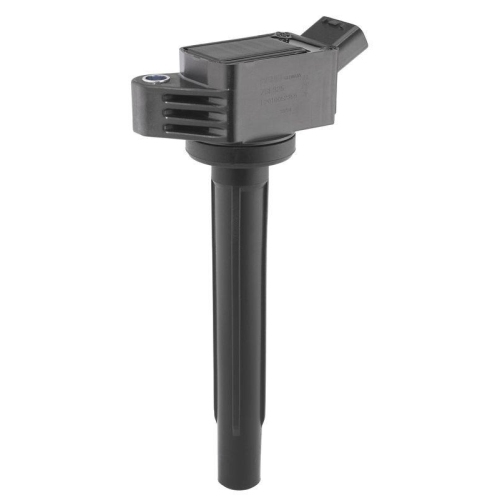 BorgWarner (BERU) Z&uuml;ndspule ZSE325