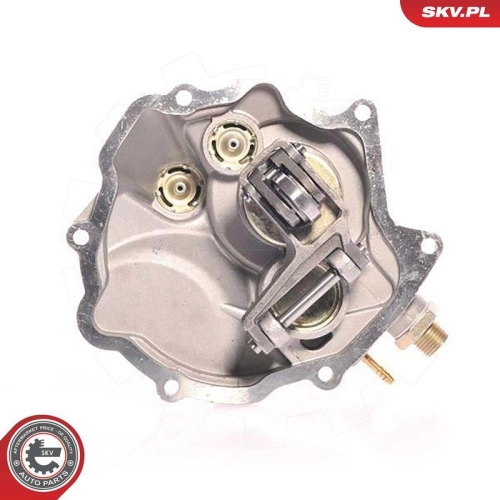 ESEN SKV Unterdruckpumpe, Bremsanlage 18SKV007