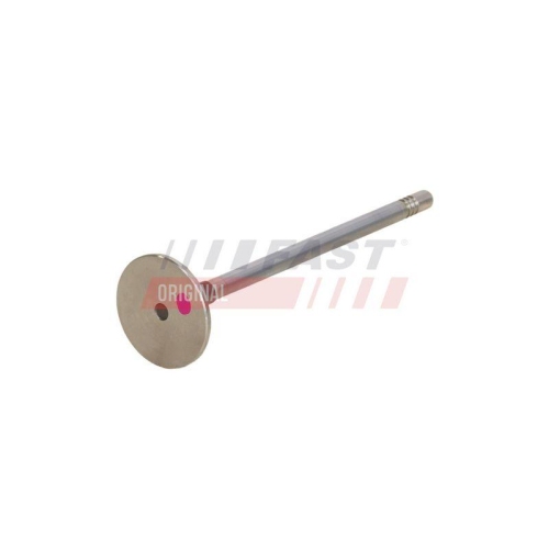 FAST Auslassventil FT50132