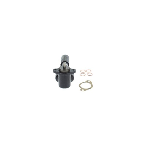 BOSCH Kraftstoffpumpe 0 440 007 998