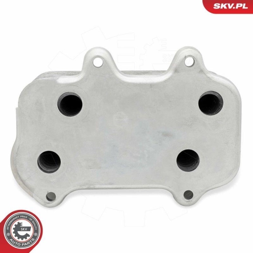ESEN SKV &Ouml;lk&uuml;hler, Motor&ouml;l 31SKV334