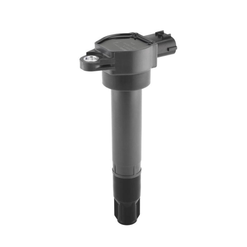 BorgWarner (BERU) Z&uuml;ndspule ZSE315