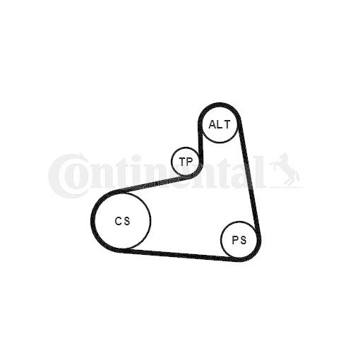 CONTINENTAL CTAM Keilrippenriemensatz 6PK906K3