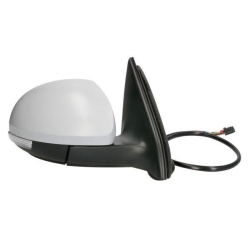 BLIC Außenspiegel 5402-01-2002724P