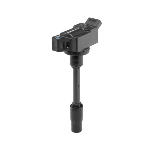 BorgWarner (BERU) Z&uuml;ndspule ZSE299